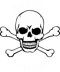 Surrey Nomads badge